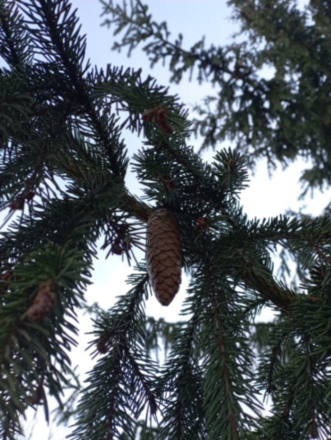 Посмотрите, какие красивые и яркие фотографии прислал нам наш постоянный талантливый подписчик Лев Попов Посмотрите, какие красивые и яркие фотографии прислал нам наш постоянный талантливый подписчик Лев Попов