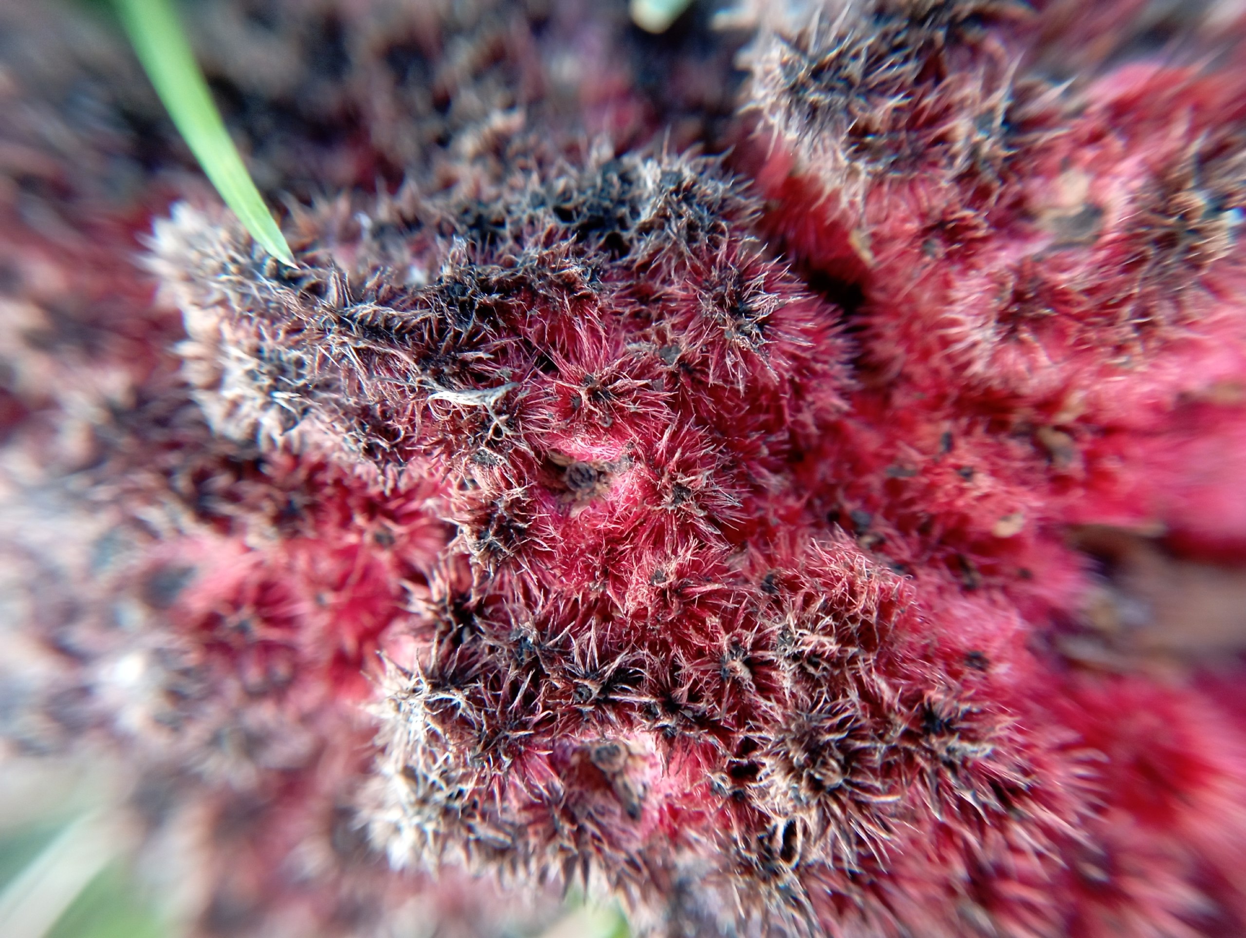 Посмотрите, какие красивые и яркие фотографии прислал нам наш постоянный талантливый подписчик Лев Попов Посмотрите, какие красивые и яркие фотографии прислал нам наш постоянный талантливый подписчик Лев Попов