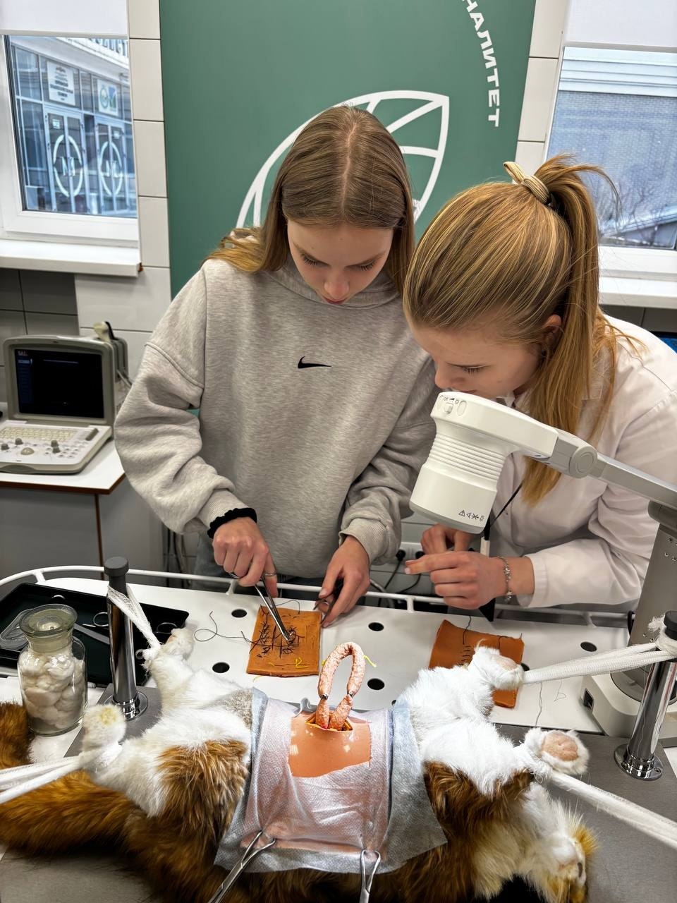 Грайворонские школьники открыли мир сельскохозяйственных профессий Грайворонские школьники открыли мир сельскохозяйственных профессий