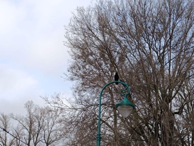 Сегодня, 6 декабря, в Белгороде будет переменная облачность