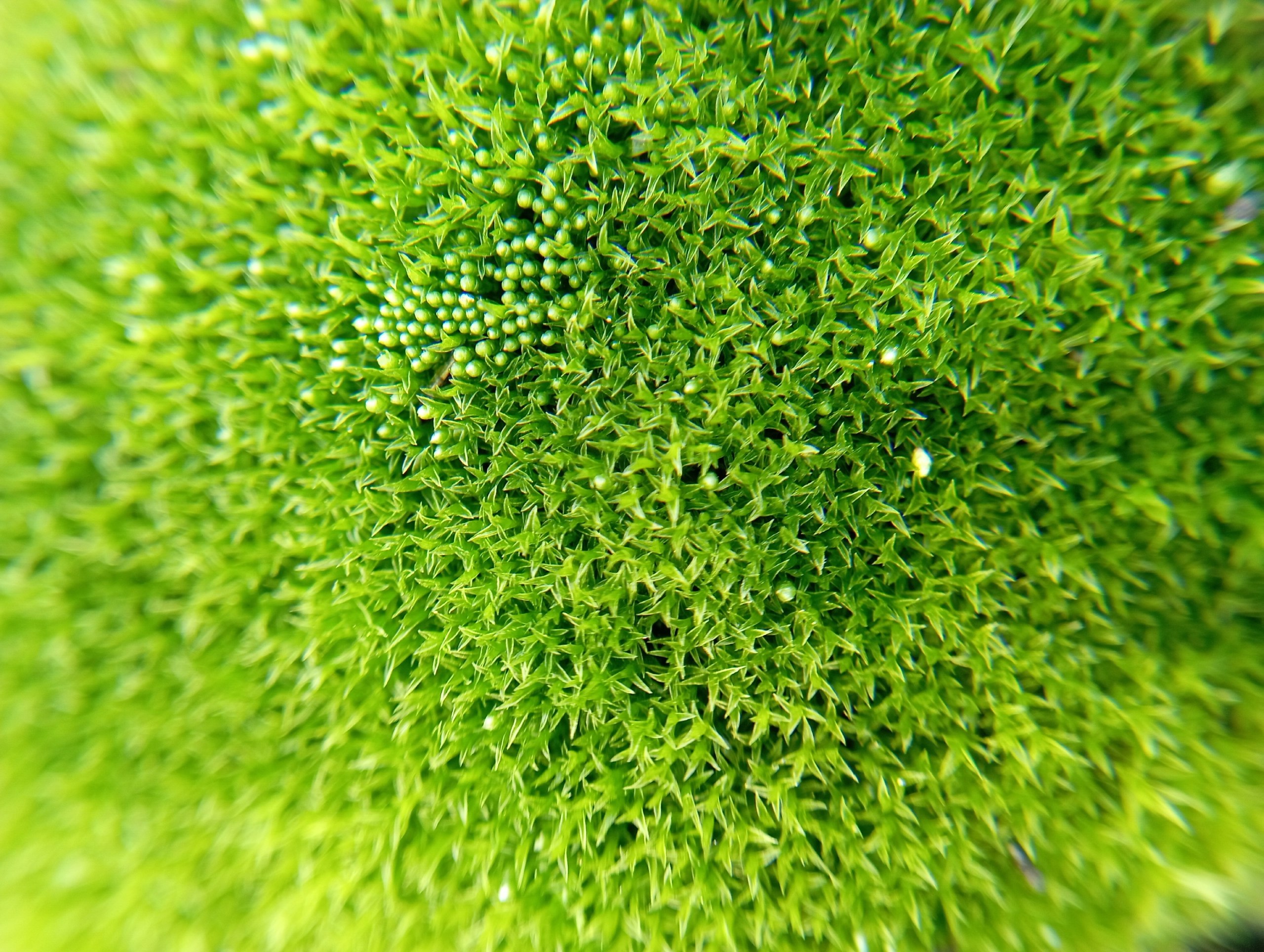 Посмотрите, какие красивые и яркие фотографии прислал нам наш постоянный талантливый подписчик Лев Попов Посмотрите, какие красивые и яркие фотографии прислал нам наш постоянный талантливый подписчик Лев Попов