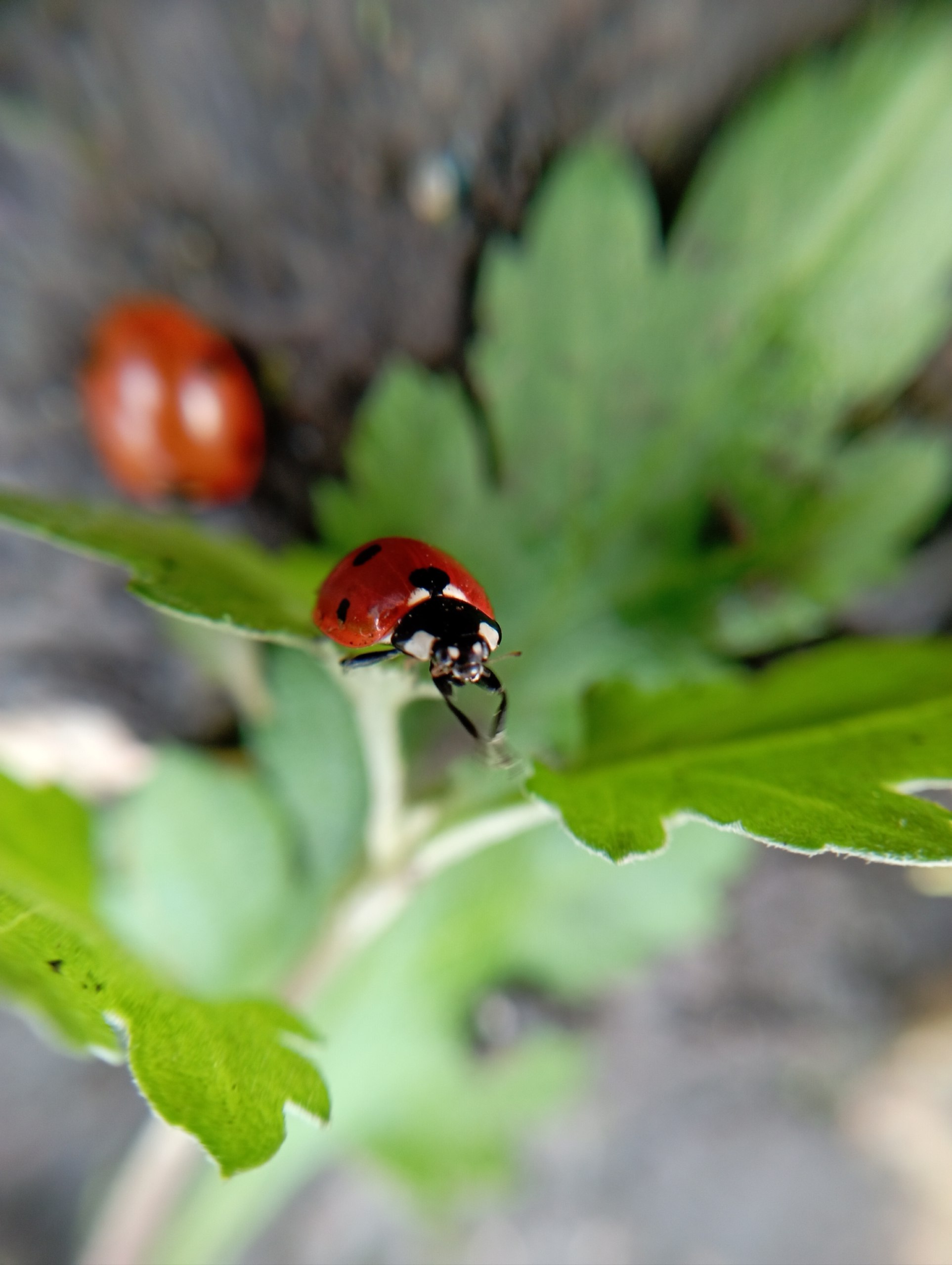 Посмотрите, какие красивые и яркие фотографии прислал нам наш постоянный талантливый подписчик Лев Попов Посмотрите, какие красивые и яркие фотографии прислал нам наш постоянный талантливый подписчик Лев Попов