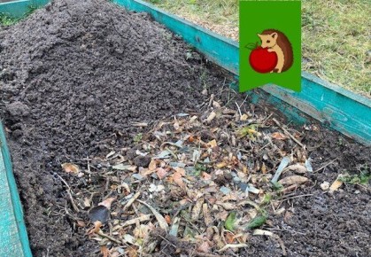 Что не стоит закладывать в высокие грядки: советы для дачников