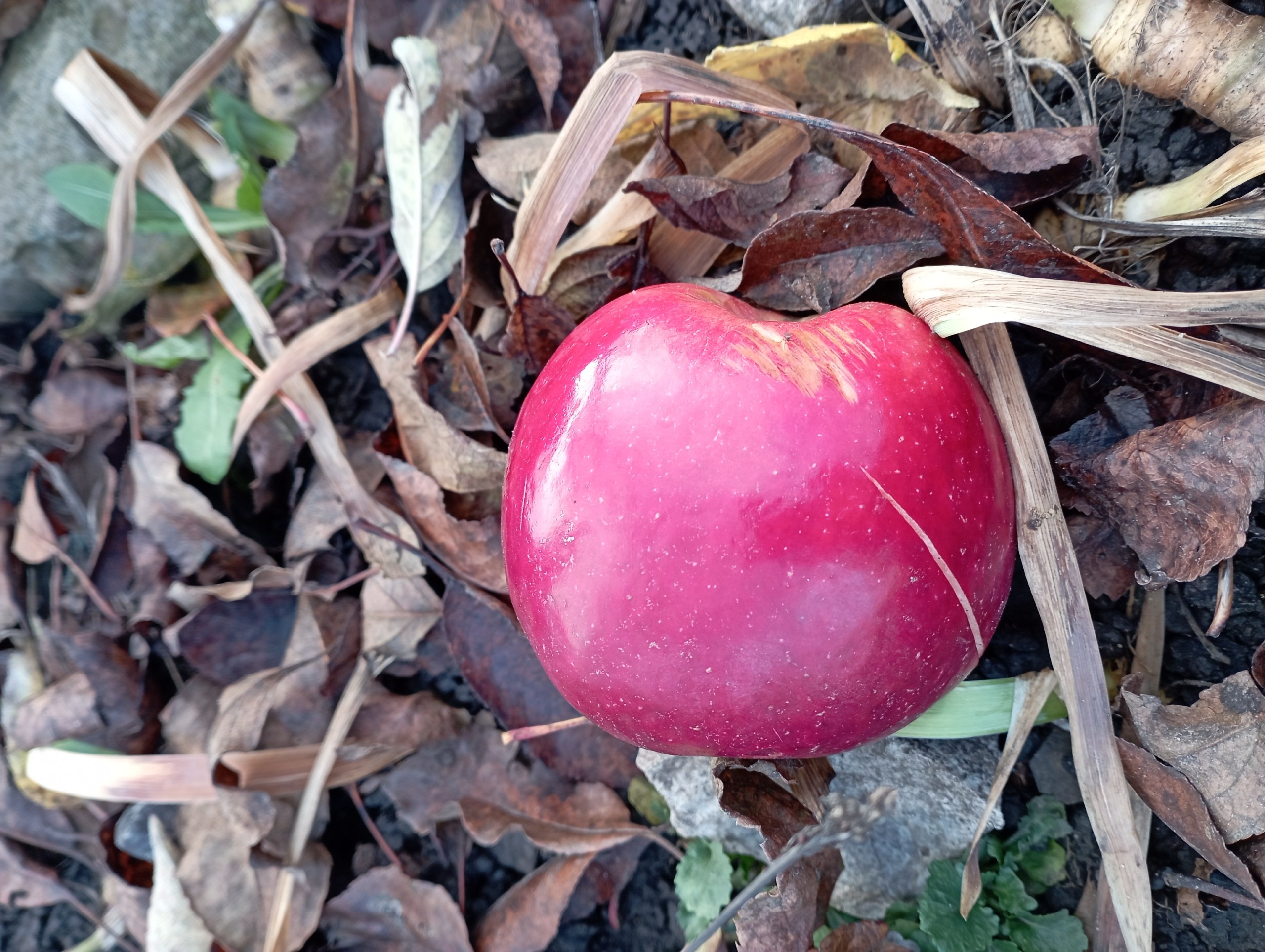 Посмотрите, какие красивые и яркие фотографии прислал нам наш постоянный талантливый подписчик Лев Попов Посмотрите, какие красивые и яркие фотографии прислал нам наш постоянный талантливый подписчик Лев Попов