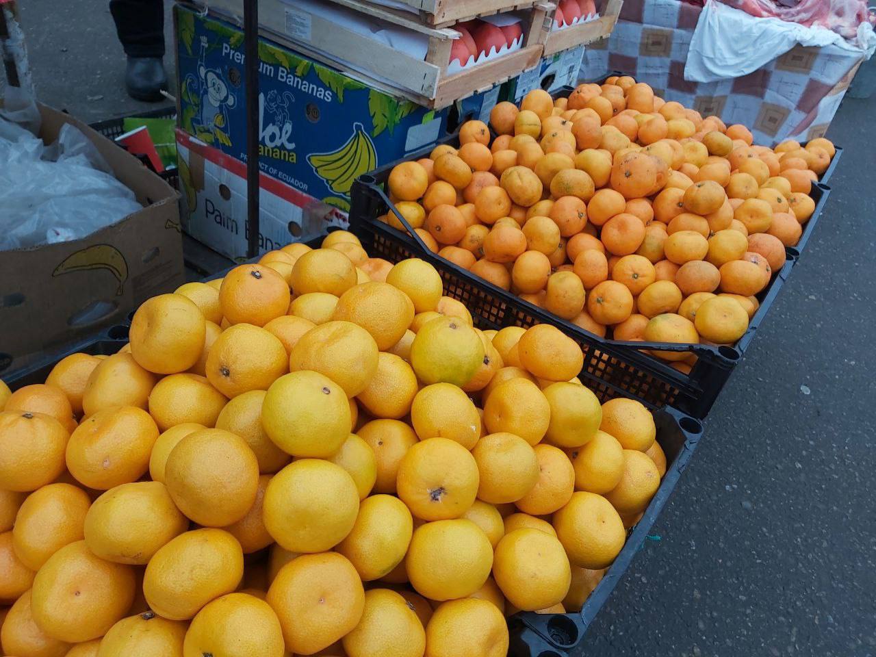 Андрей Миськов: Сегодня в Новом Осколе состоялась сельскохозяйственная ярмарка выходного дня Андрей Миськов: Сегодня в Новом Осколе состоялась сельскохозяйственная ярмарка выходного дня