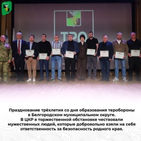 Празднование трёхлетия со дня образования теробороны в Белгородском муниципальном округе