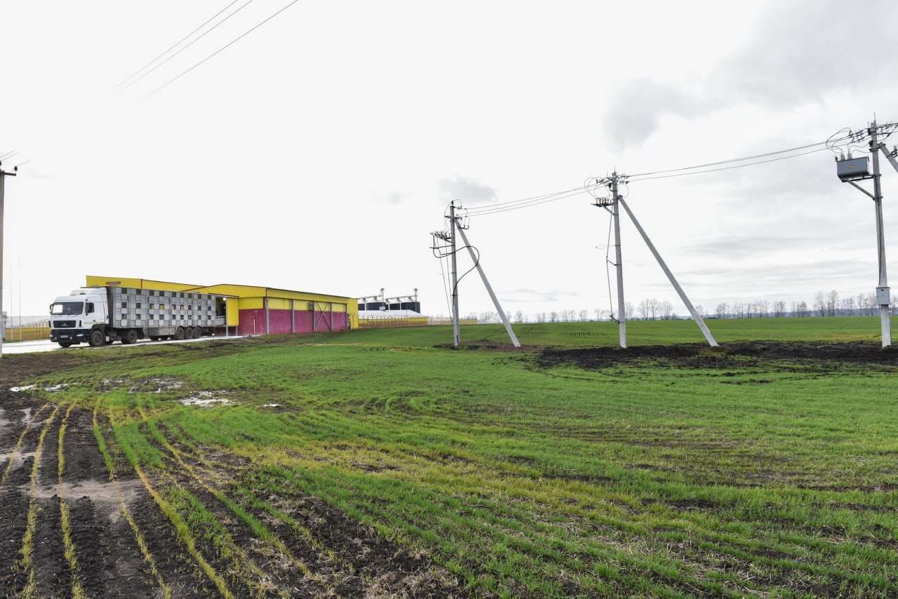 Белгородские энергетики обеспечили электроснабжение крупного объекта агропромышленного комплекса
