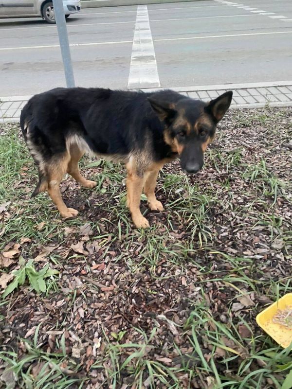 ����� ������� ������ �� ������ ������ �������� ������� ������