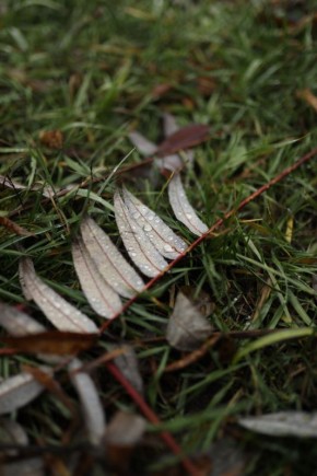 С добрым утром понедельника!