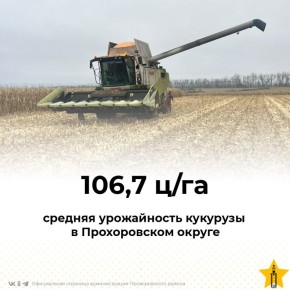 Уборка кукурузы — на финишной прямой!