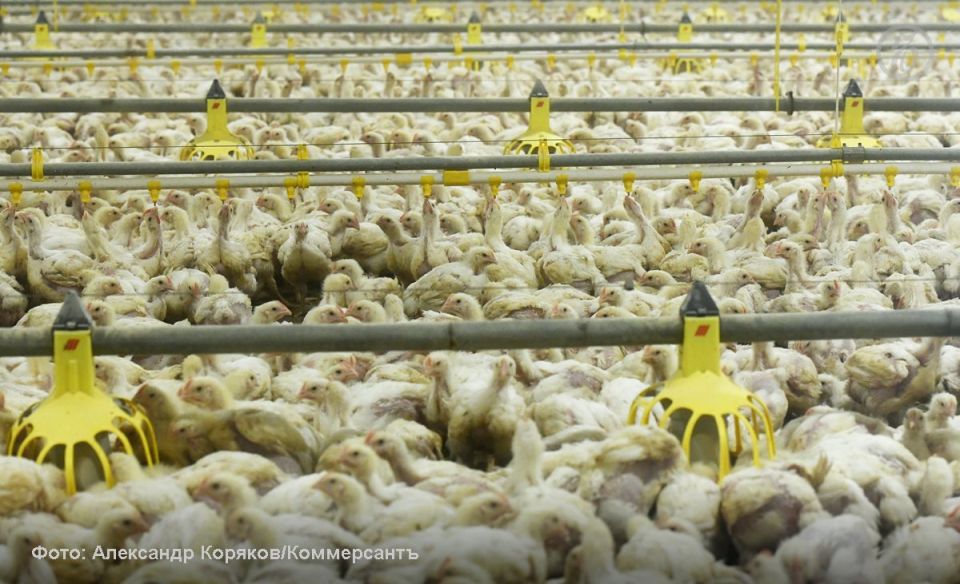 ������������ ����� ��� ������� ������� ��������� ��� �� �����������