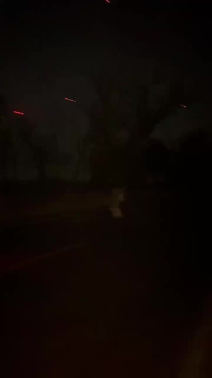 Работу бойцов, которые защищают Белгородскую область, показали в прямом эфире