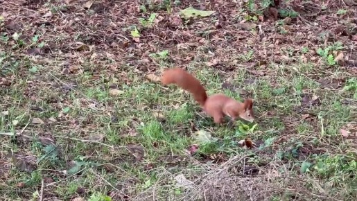 Доброе утро, Белгород!. 8 декабря нас ждет переменная облачность с прояснениями