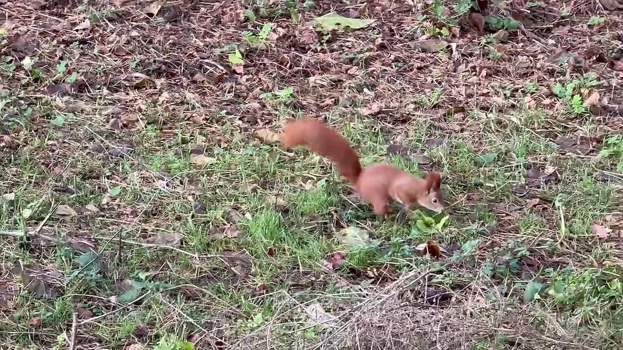 Доброе утро, Белгород!. 8 декабря нас ждет переменная облачность с прояснениями