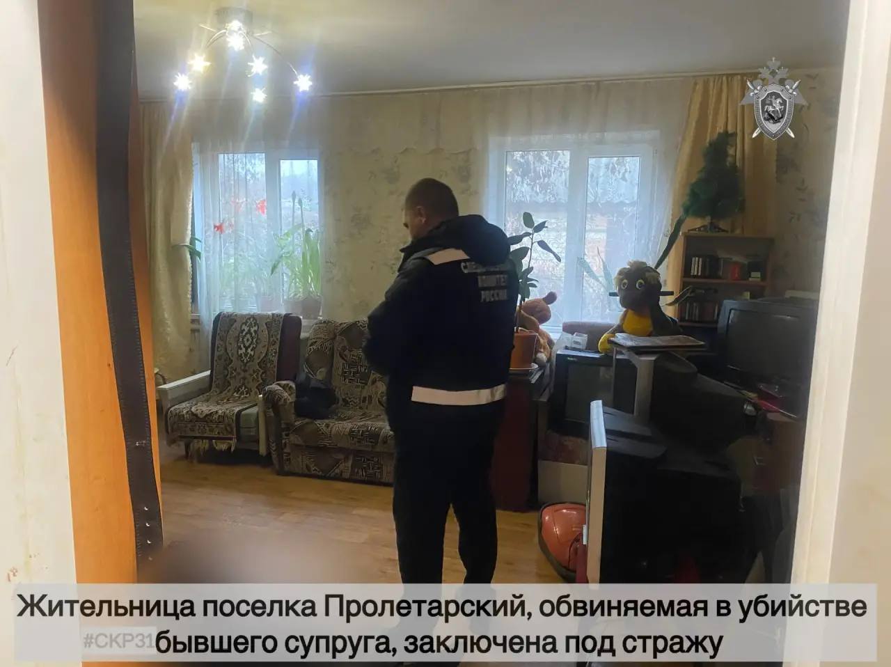 Жительница поселка Пролетарский, обвиняемая в убийстве бывшего супруга, заключена под стражу