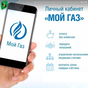 Более 108 тысяч белгородцев уже оценили удобство онлайн-сервиса «Мой газ»