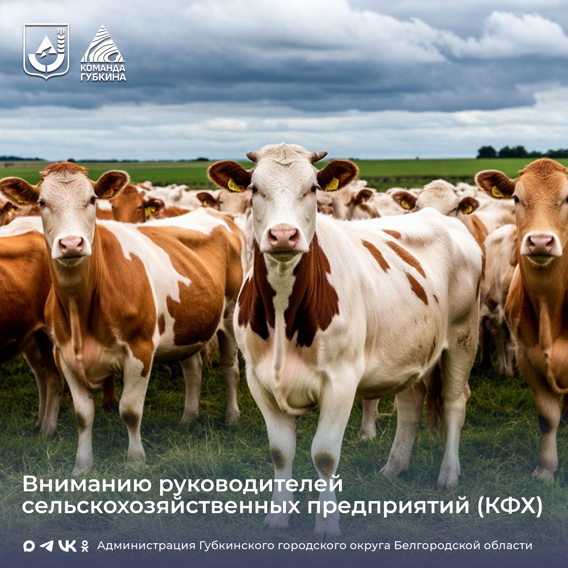 Управление сельского хозяйства информирует