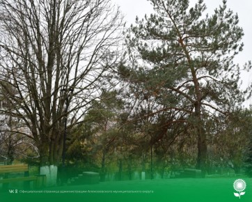 9 �������. ����������� ������� -0�C, �������, ��������� ����