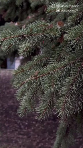 ������ ����, ������� �������������!