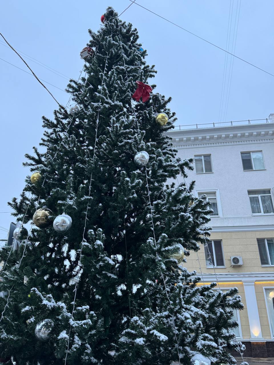 Первая снежная сказка в Белгороде Первая снежная сказка в Белгороде