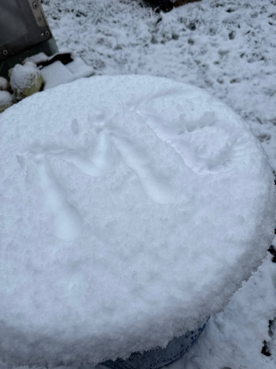 Зимний привет от наших подписчиков, которые решили сделать «Мир Белогорья» частью утренней красоты