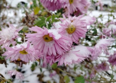 Сегодня, 10 декабря, будет облачно