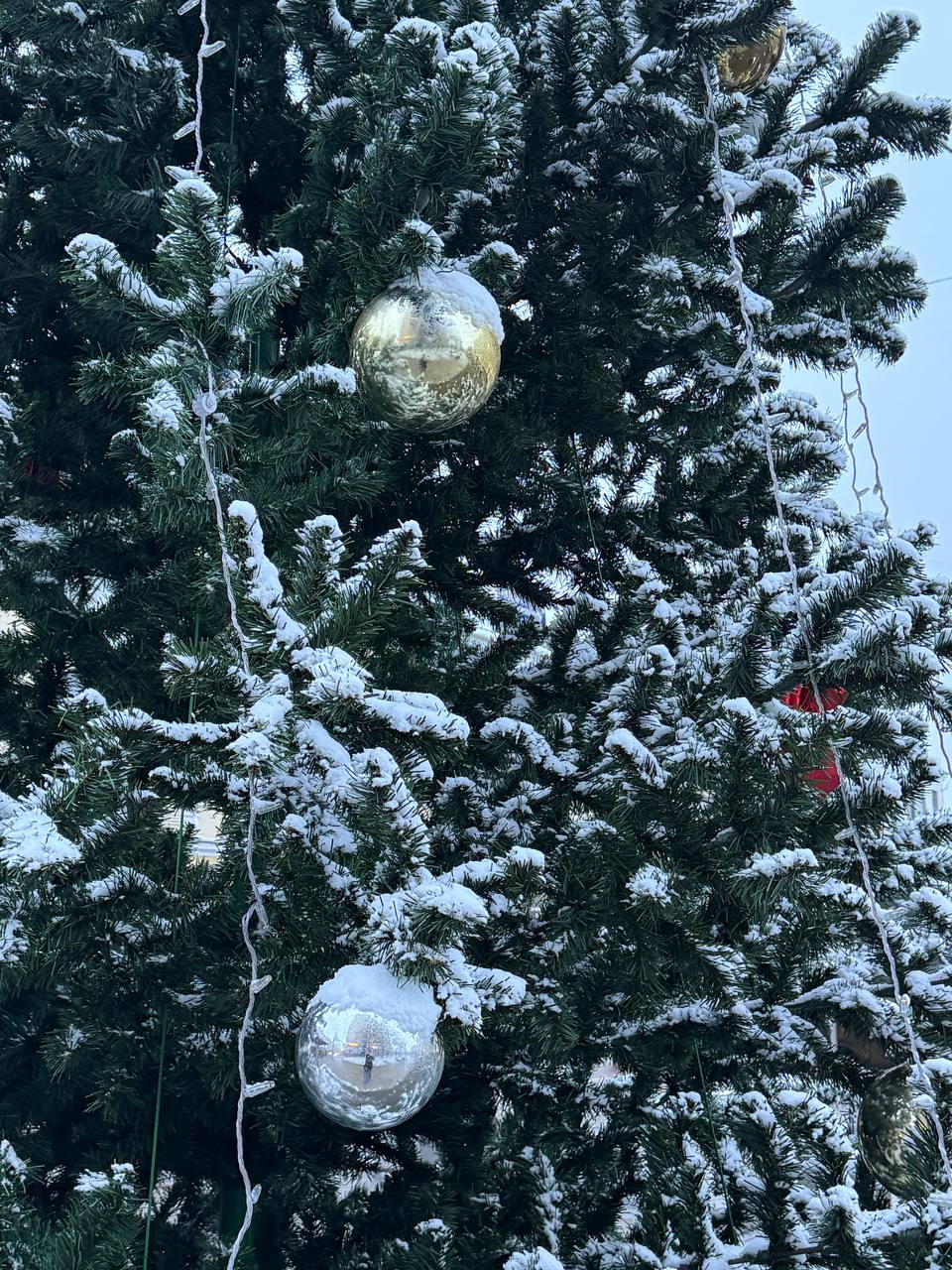 Первая снежная сказка в Белгороде Первая снежная сказка в Белгороде