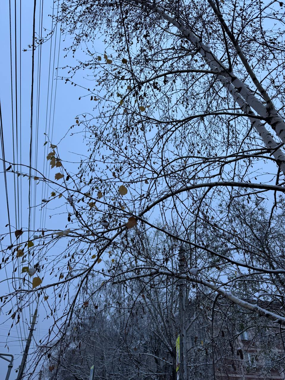 Первая снежная сказка в Белгороде Первая снежная сказка в Белгороде