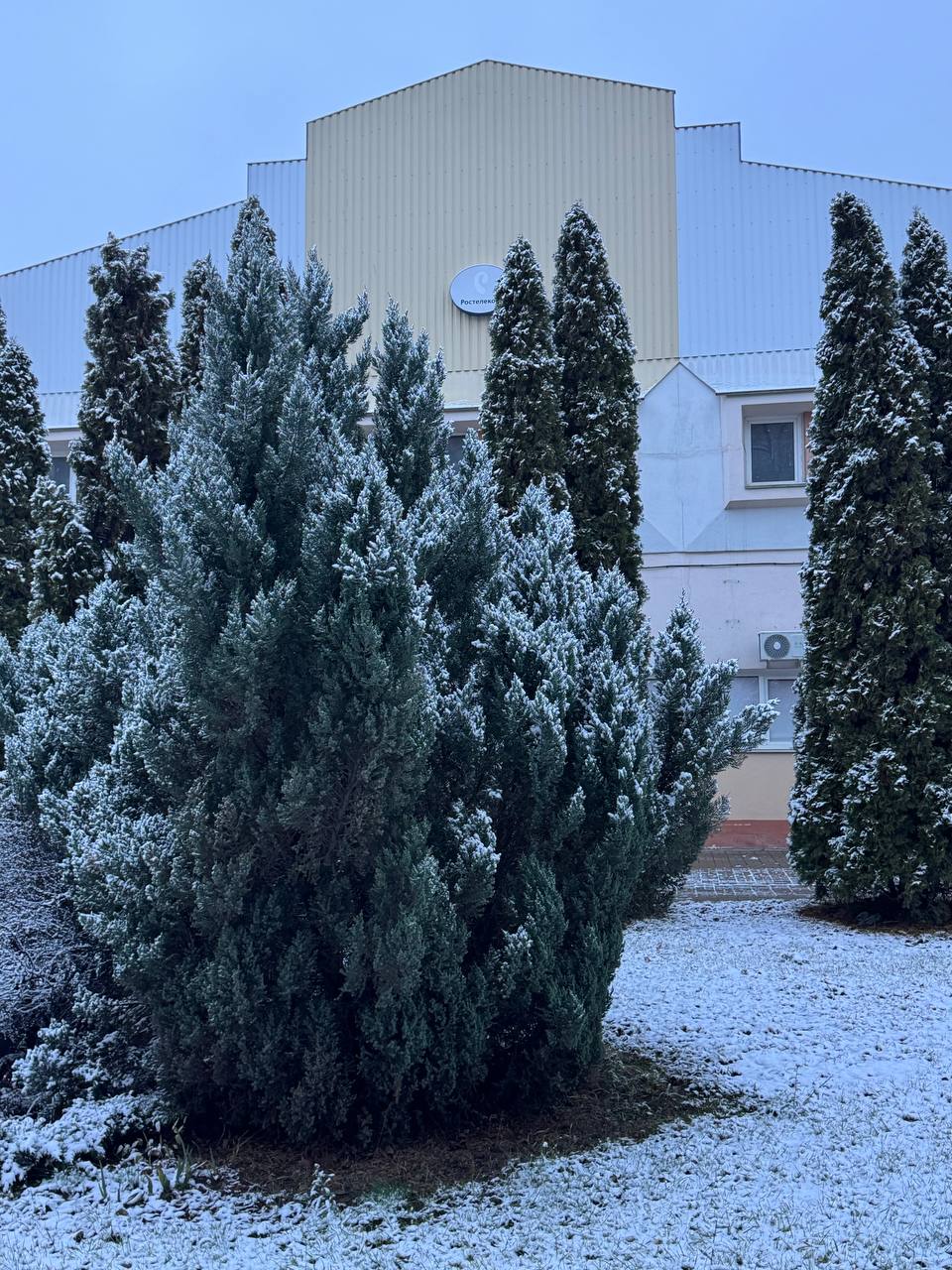 Первая снежная сказка в Белгороде Первая снежная сказка в Белгороде
