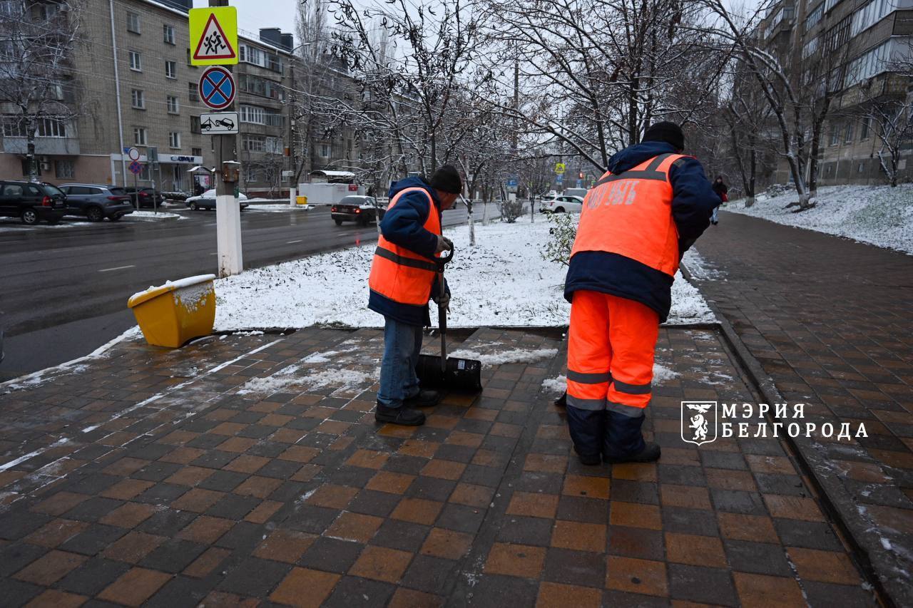 В Белгороде выпал первый снег – коммунальные службы с самого утра приводят в порядок автодороги и пешеходные маршруты В Белгороде выпал первый снег – коммунальные службы с самого утра приводят в порядок автодороги и пешеходные маршруты