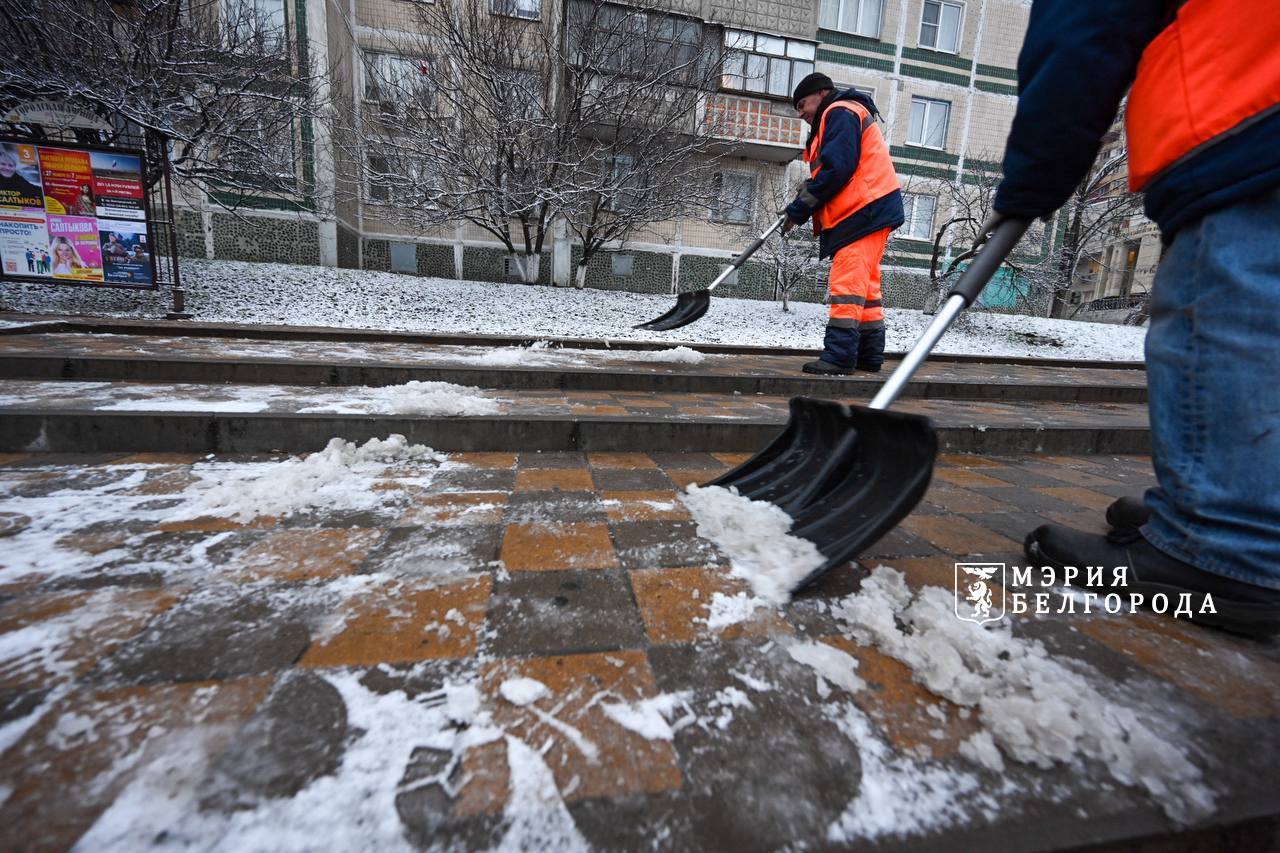 В Белгороде выпал первый снег – коммунальные службы с самого утра приводят в порядок автодороги и пешеходные маршруты В Белгороде выпал первый снег – коммунальные службы с самого утра приводят в порядок автодороги и пешеходные маршруты