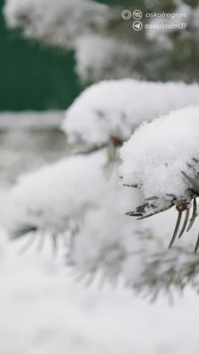 Доброе утро, дорогие старооскольцы!