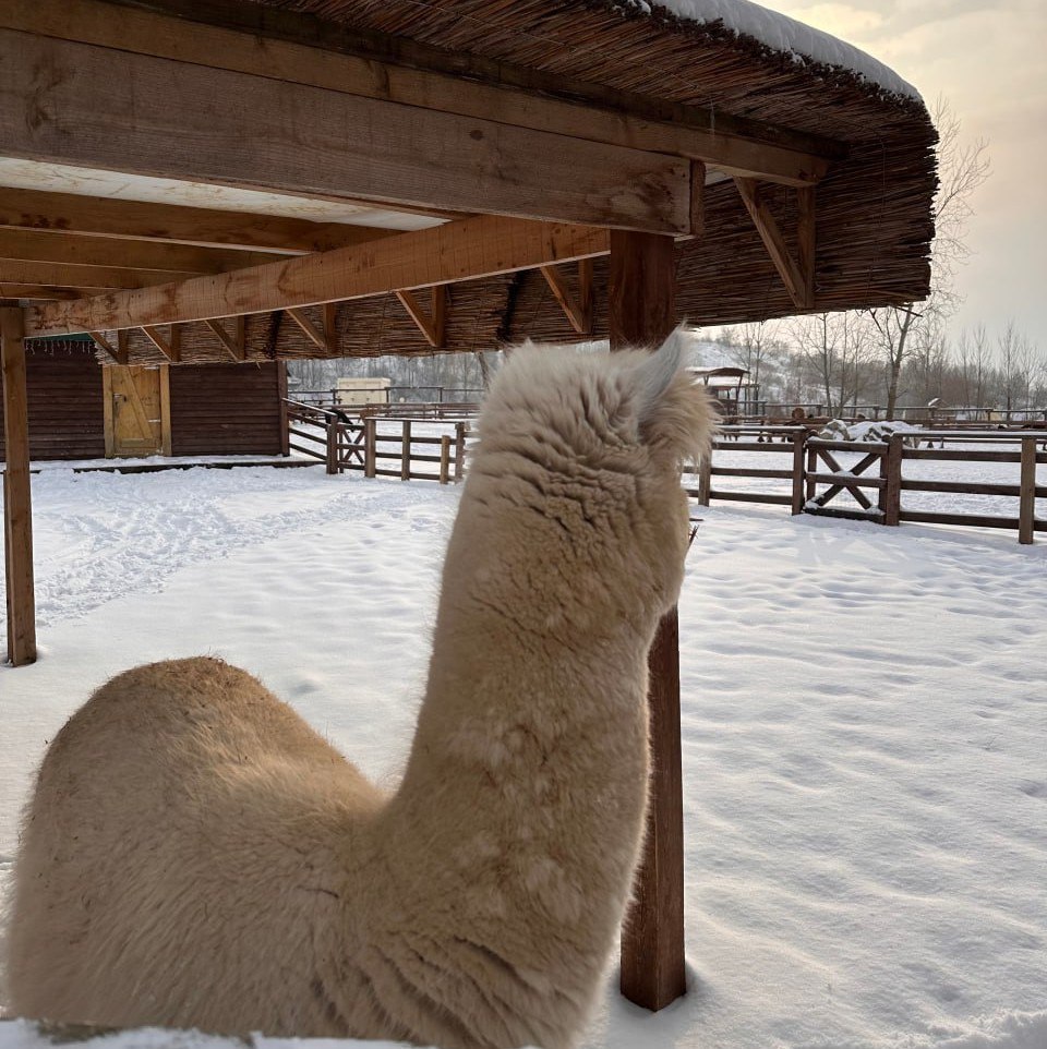 Зима готовит яркий выход: когда ждать морозов в Белгородской области?