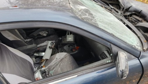  3,5    2022    ,     -  