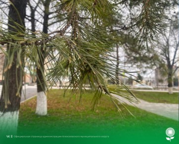 12 декабря. Температура воздуха 3°C, облачно, без осадков