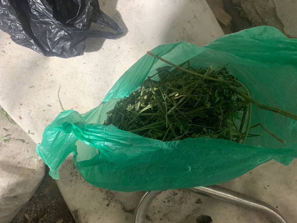 ������ ��������������� ������ ������������� � ���������� �������� ����������