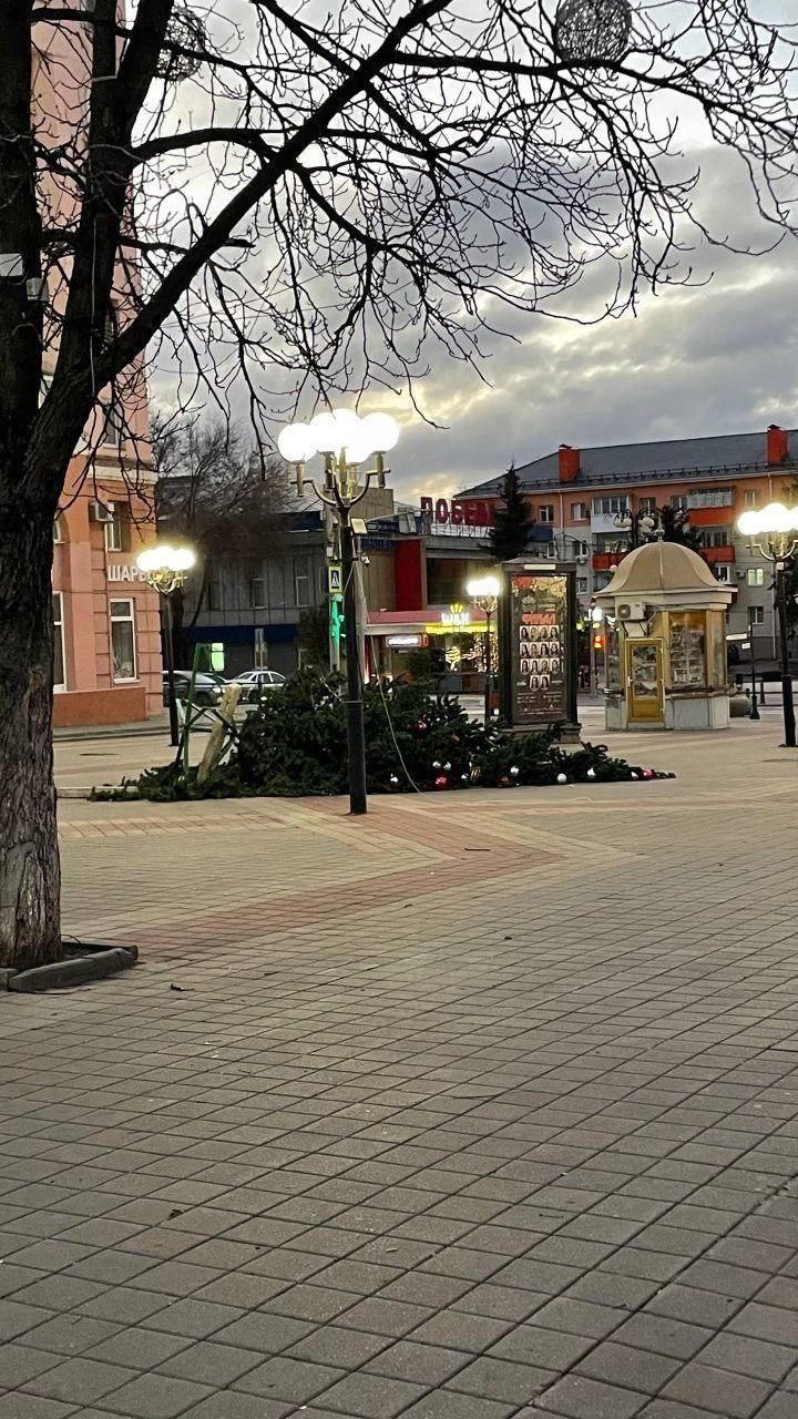 Коммунальные службы Белгорода устранили половину последствий ночного «шторма» Коммунальные службы Белгорода устранили половину последствий ночного «шторма»