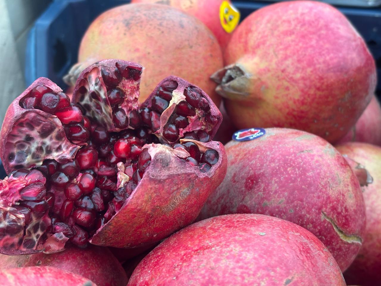 Андрей Миськов: Сегодня в городе Новый Оскол состоялась уже ставшая традиционной ярмарка выходного дня Андрей Миськов: Сегодня в городе Новый Оскол состоялась уже ставшая традиционной ярмарка выходного дня