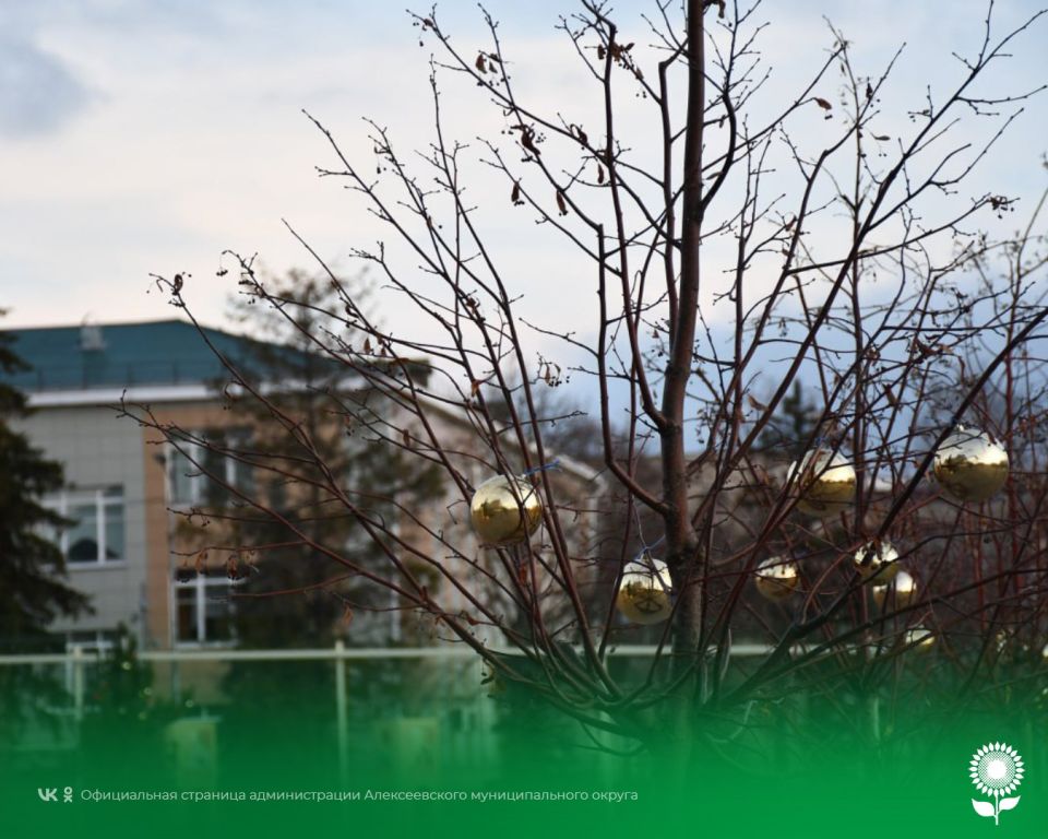 13 �������. ����������� ������� -3�C, ��������, ��������� ����