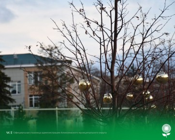 13 декабря. Температура воздуха -3°C, пасмурно, небольшой снег