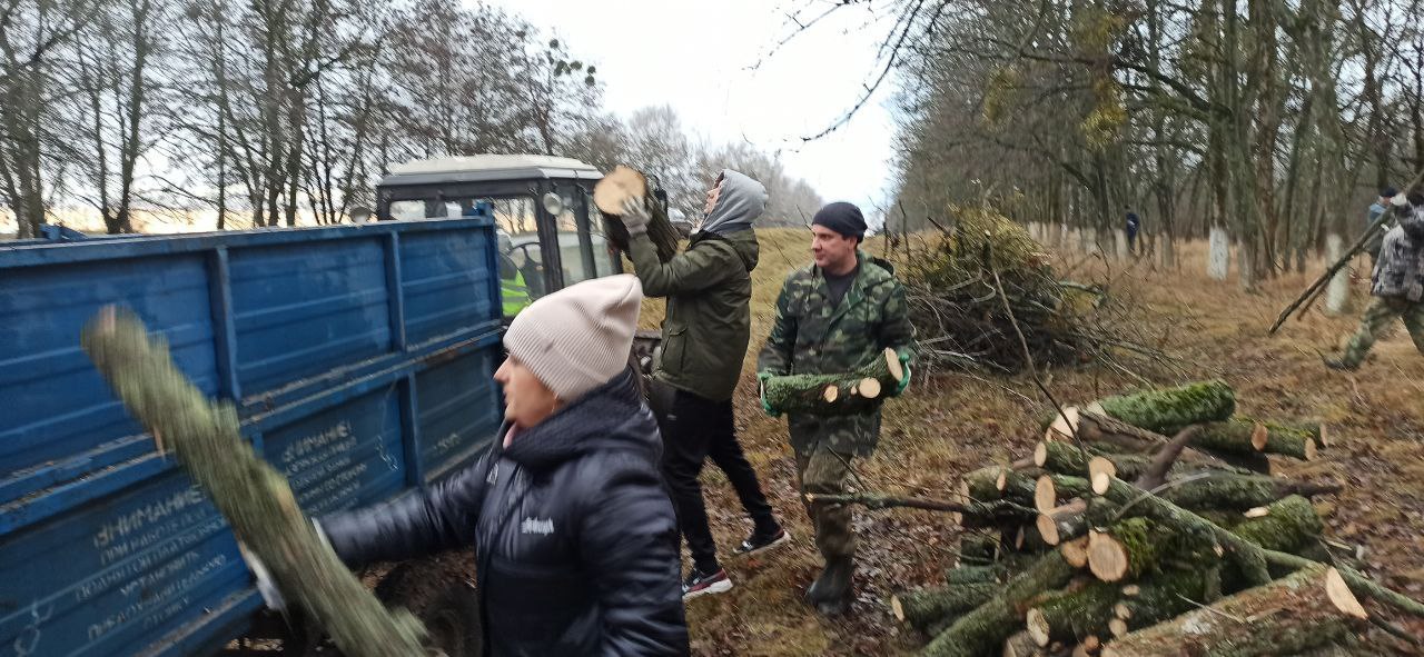 Владимир Переверзев: В Борисовском муниципальном округе продолжается плановая работа по заготовке древесины Владимир Переверзев: В Борисовском муниципальном округе продолжается плановая работа по заготовке древесины