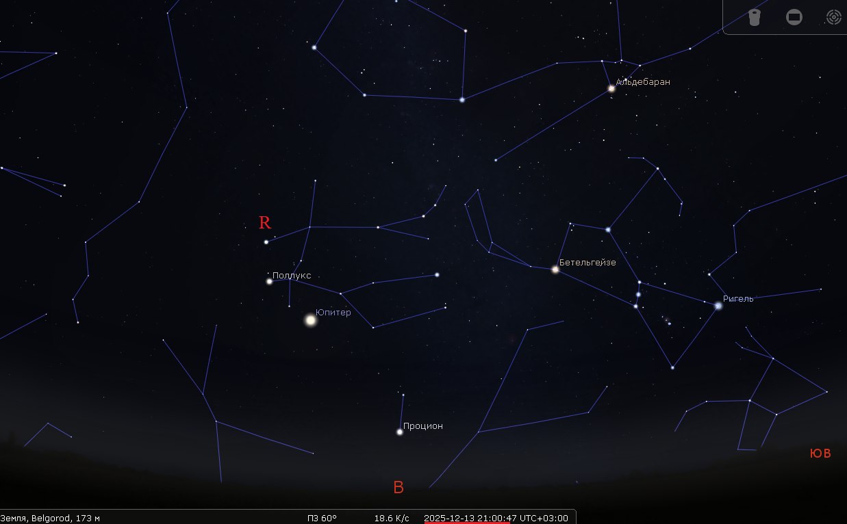 Белгородцы смогут увидеть самый яркий звездопад года