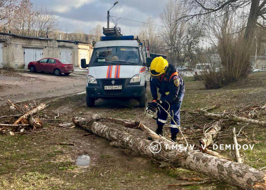 Валентин Демидов: Коммунальные службы ликвидируют последствия непогоды в Белгороде Валентин Демидов: Коммунальные службы ликвидируют последствия непогоды в Белгороде