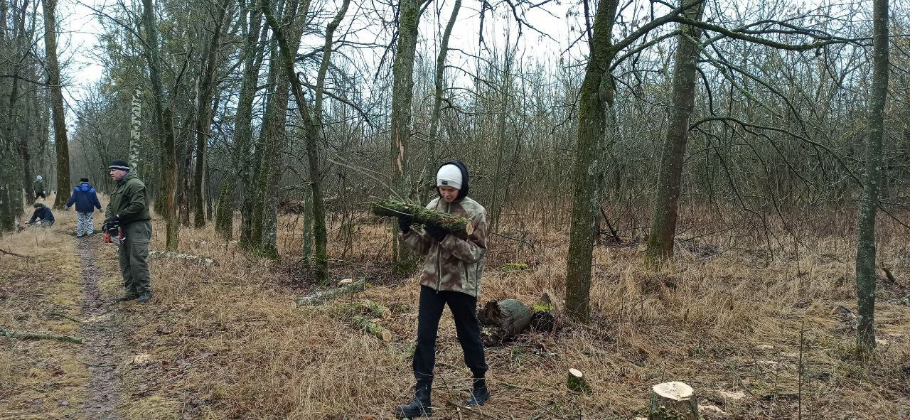 Владимир Переверзев: В Борисовском муниципальном округе продолжается плановая работа по заготовке древесины Владимир Переверзев: В Борисовском муниципальном округе продолжается плановая работа по заготовке древесины