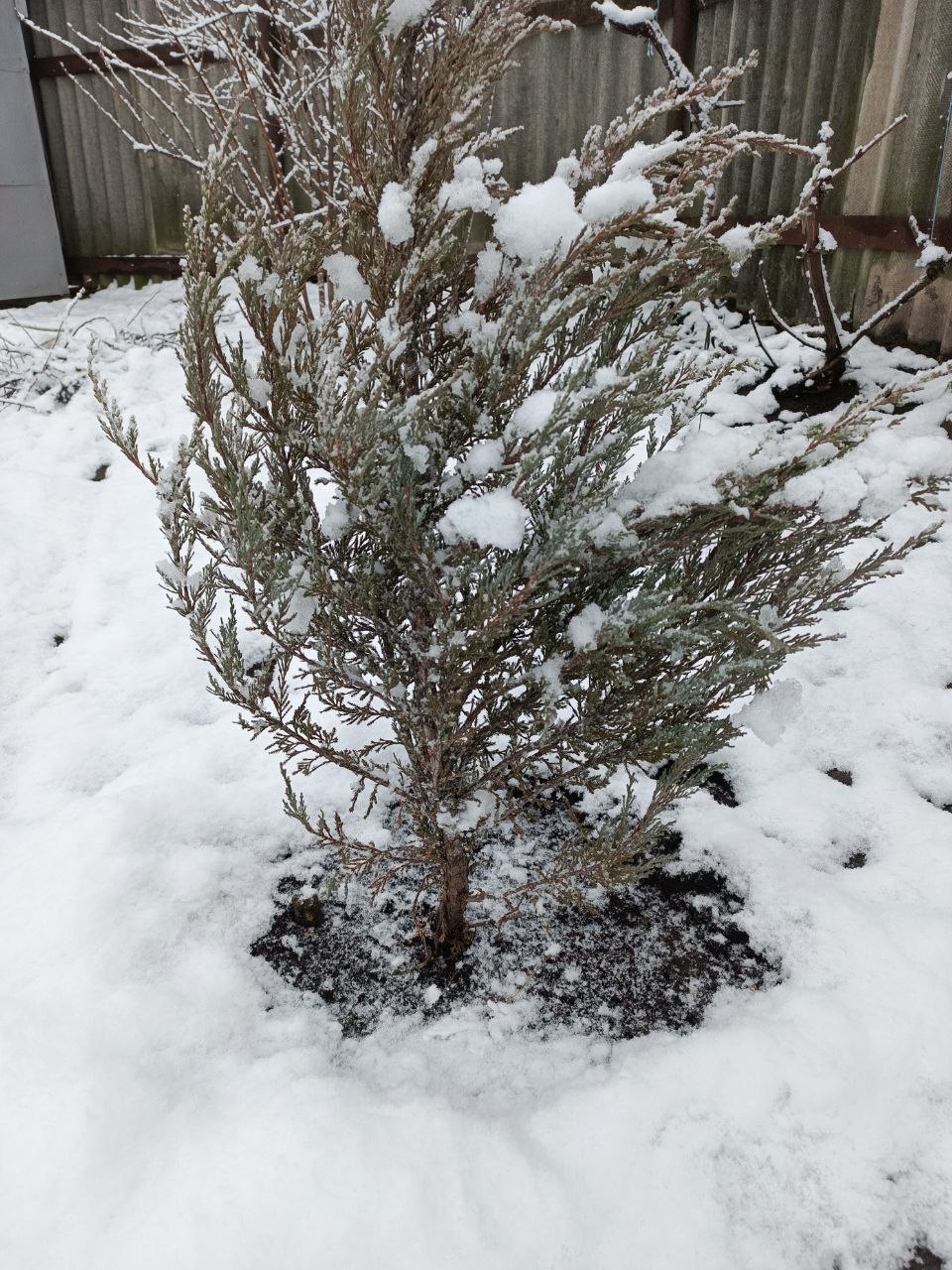 Галина Руденко: Благодаря социальному контракту мечта жительницы Казацкого о собственном питомнике воплотится в жизнь Галина Руденко: Благодаря социальному контракту мечта жительницы Казацкого о собственном питомнике воплотится в жизнь