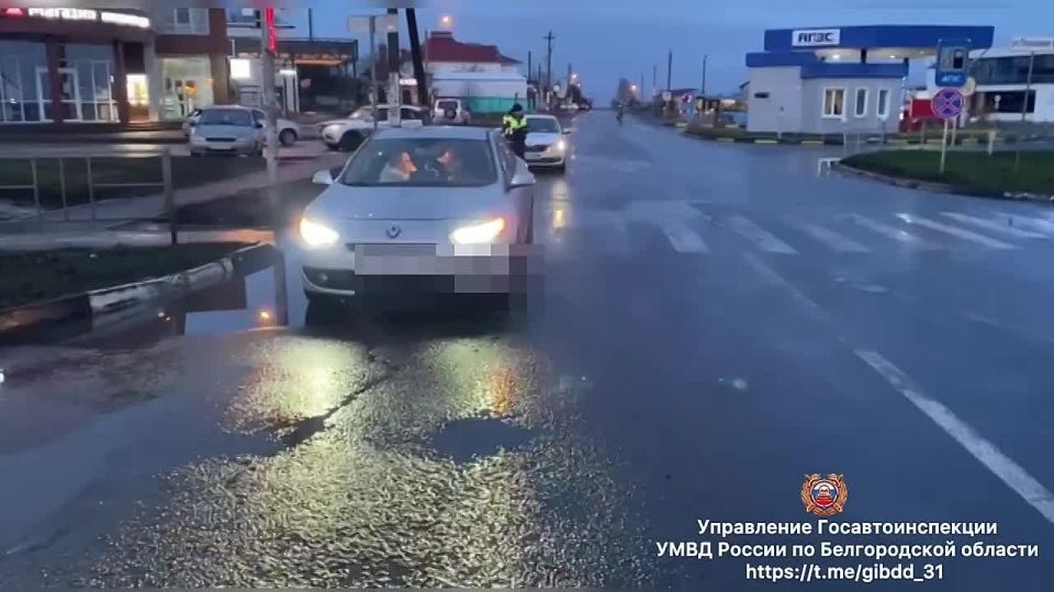 #������_���. �� ��������������� ������, ����� � 07 ����� 10 ����� �� ��. ����������� �. �������� ������������� ������ 52-������ ��������, �������� ����������� ����� ������, �������� ����� �� 61-������ �������, ������������...