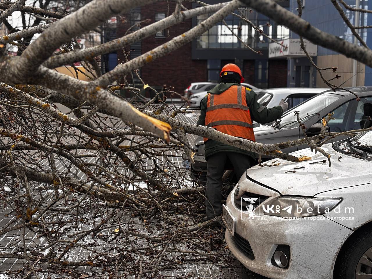 Коммунальные службы Белгорода устранили половину последствий ночного «шторма» Коммунальные службы Белгорода устранили половину последствий ночного «шторма»
