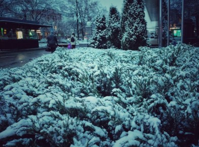 Сегодня, 13 декабря, будет морозно, скользко и облачно с прояснениями