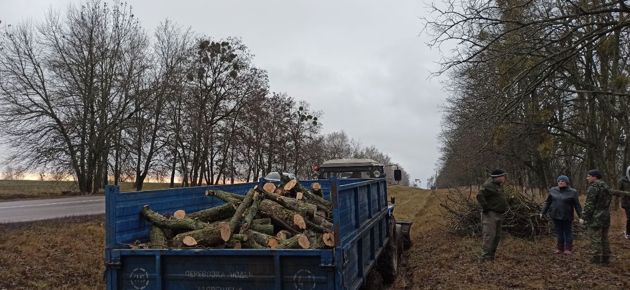 Владимир Переверзев: В Борисовском муниципальном округе продолжается плановая работа по заготовке древесины Владимир Переверзев: В Борисовском муниципальном округе продолжается плановая работа по заготовке древесины