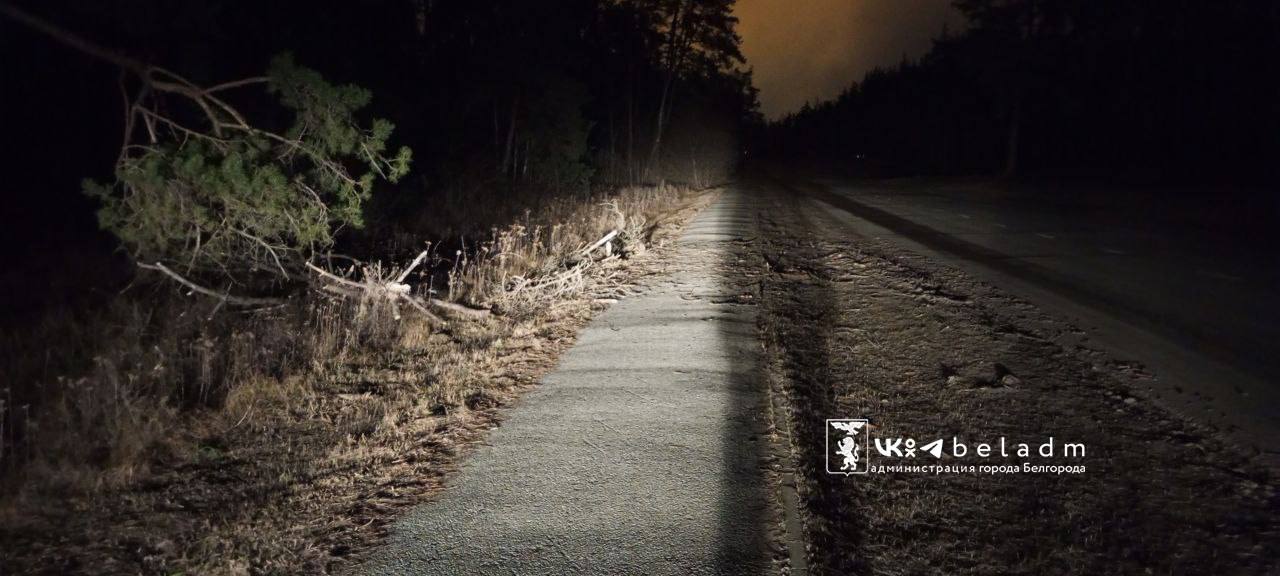 Наши коммунальные службы отработали 50% заявок, которые поступили от горожан о последствиях сильного ветра этой ночью в Белгороде Наши коммунальные службы отработали 50% заявок, которые поступили от горожан о последствиях сильного ветра этой ночью в Белгороде